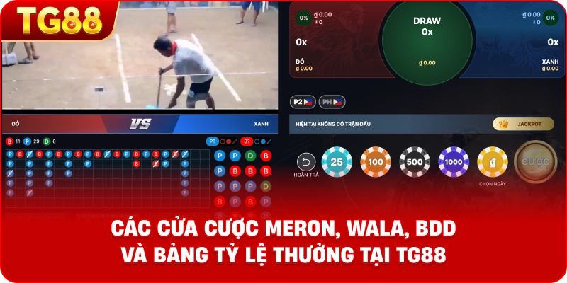 Đồ họa minh họa các cửa cược Meron, Wala, BDD và bảng tỷ lệ thưởng tại TG88