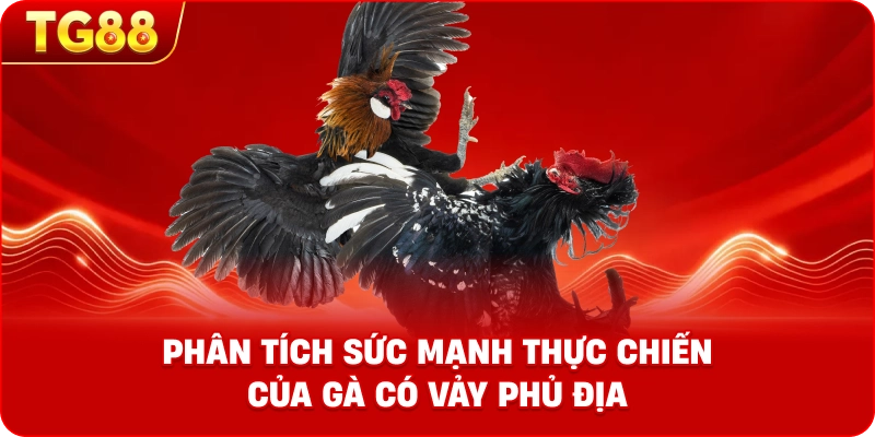 Phân tích sức mạnh thực chiến của gà có vảy phủ địa